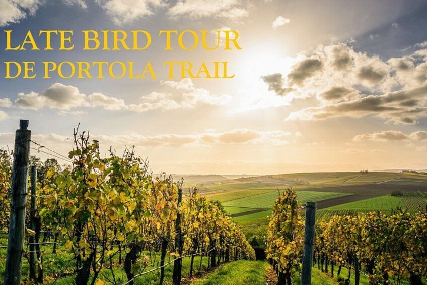 WINE TOUR (DAILY) & LATE BIRD TOUR (SAT ONLY) 1