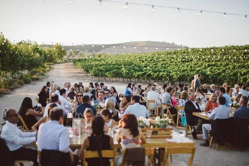 WE OFFER CORPORATE WINE TOURS TOO! 3