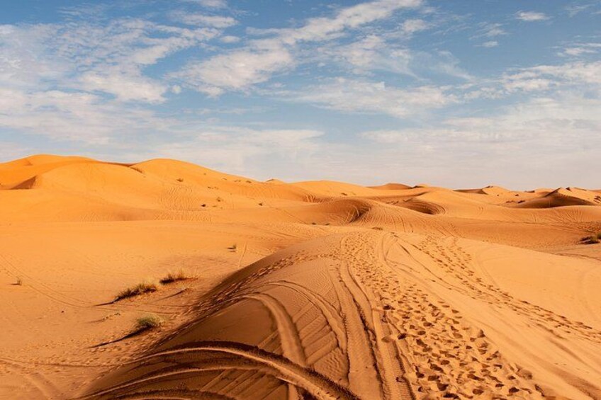Paisaje desértico con dunas de arena y surcos de neumáticos. 3