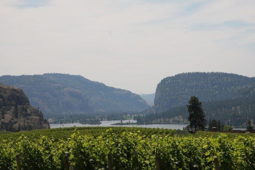 Most photographed vineyard in the Okanagan