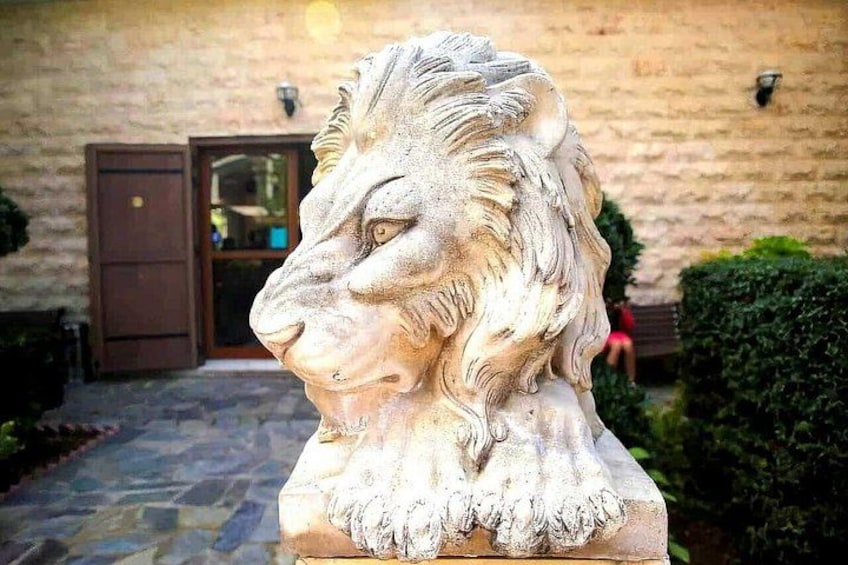 Lion 2