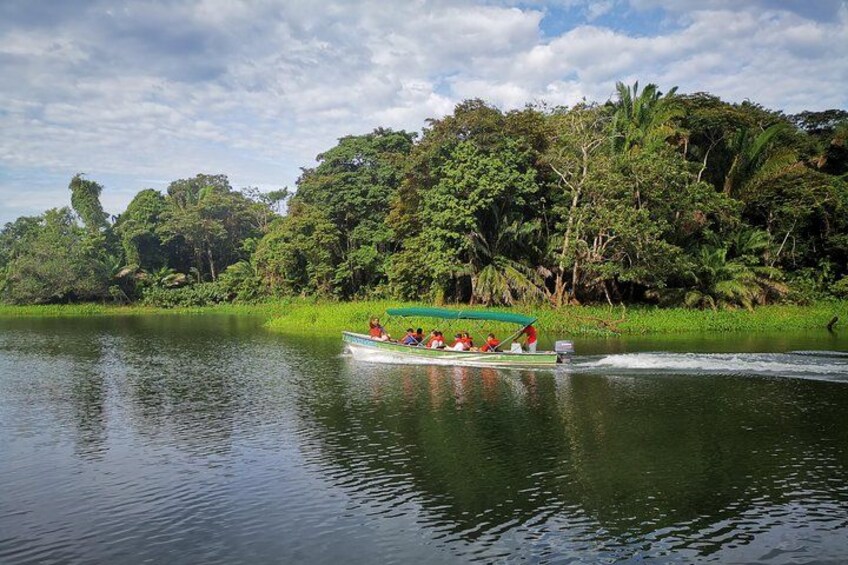 A boat with passengers on a calm river surrounded by lush greenery. 4