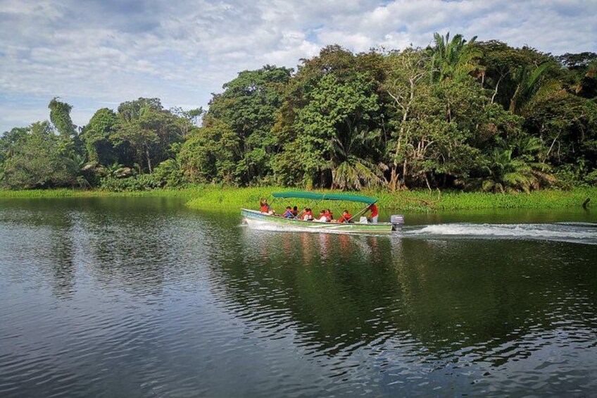 Gatun Lake boat ride 1
