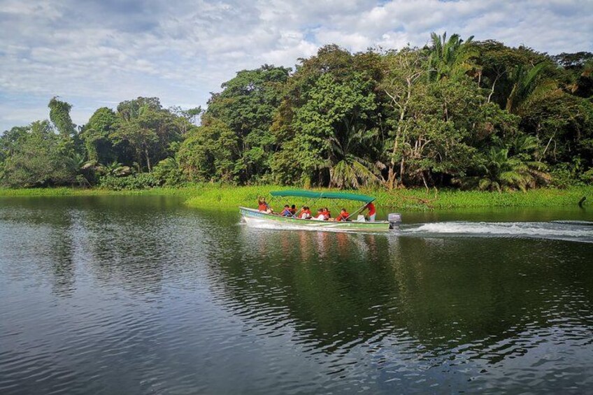 Gatun Lake boat ride 1