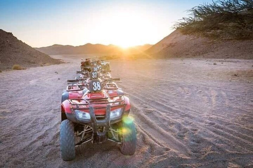 Quad Runner 1