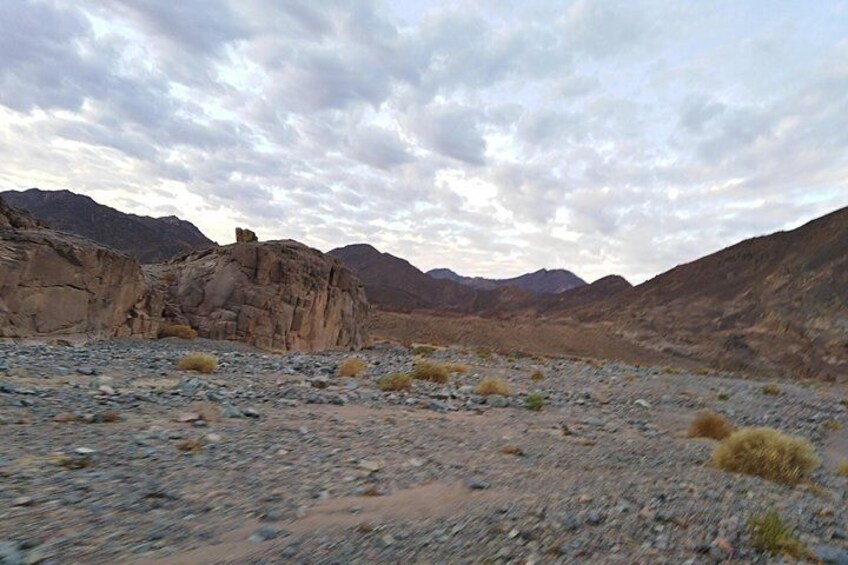 A rocky desert landscape with sparse vegetation and distant mountains under a cloudy sky. 2
