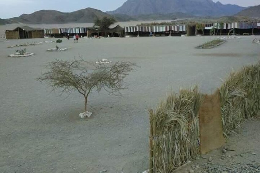 A desert landscape with sparse vegetation, a few small trees, and a series of traditional huts in the background. 4