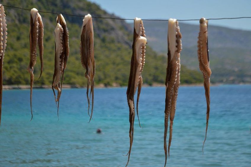 Explore Loutraki & Lake Vouliagmeni: Nature and Relaxation 5