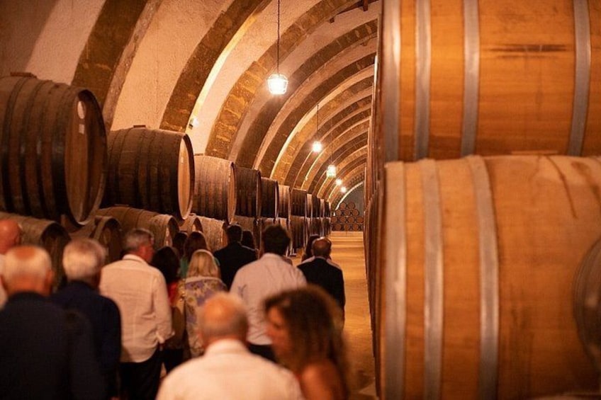 Marsala Wine Tasting Experience & Mothia 4