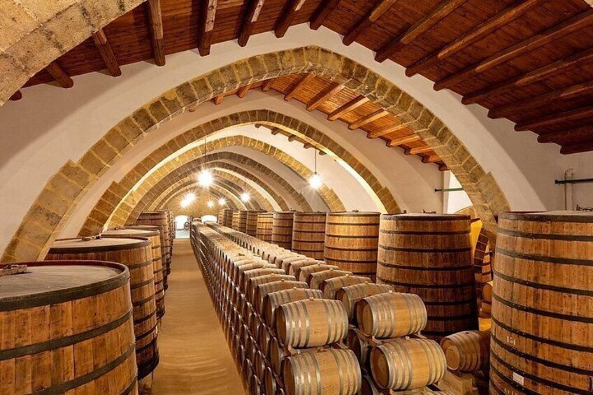 Marsala Wine Tasting Experience & Mothia 3