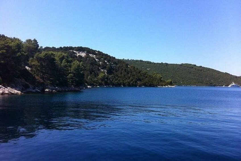 Sea & woods 5
