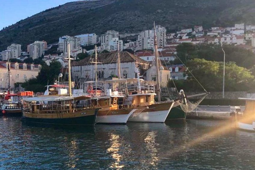 Our boats 4