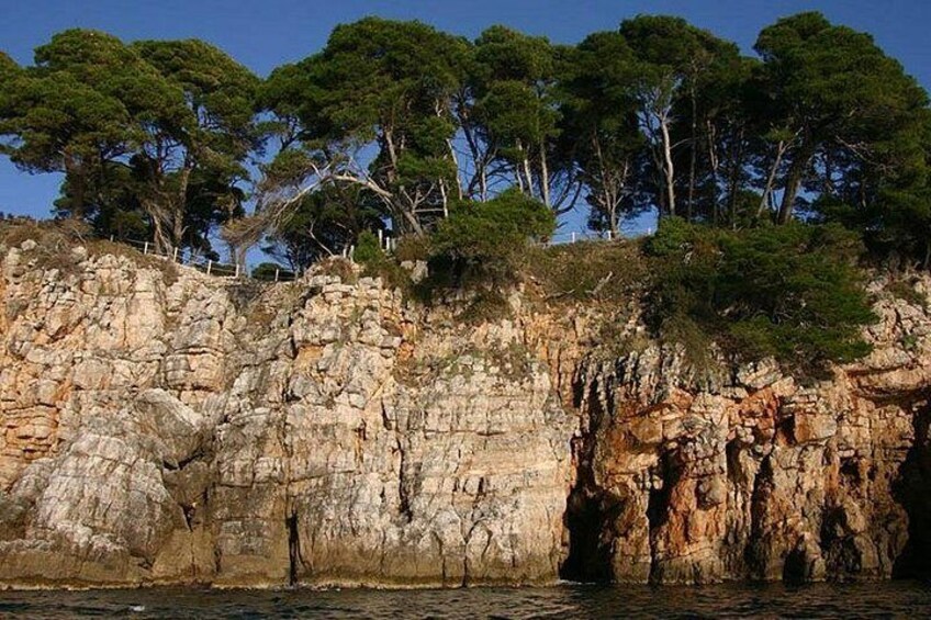 Island of Koločep 3