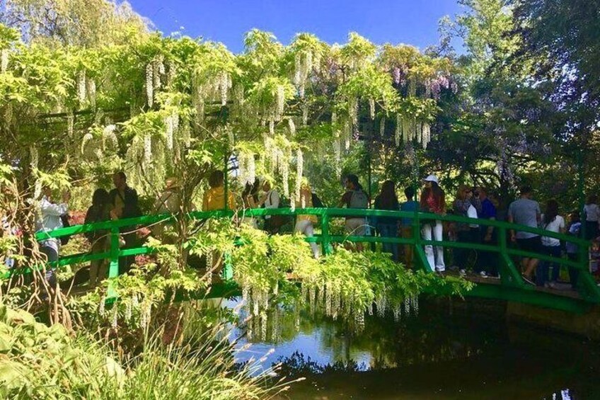 Japanese Bridge