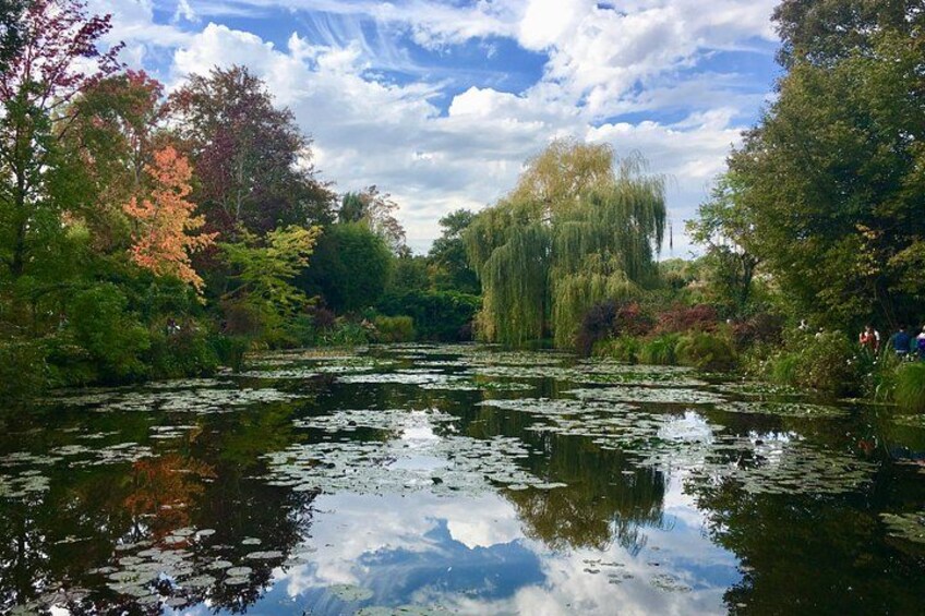 Lily Pond 4