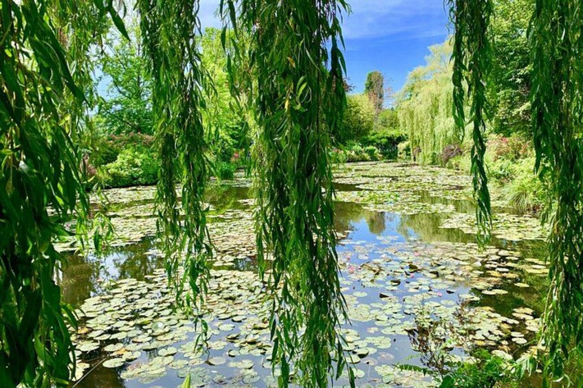 Lily's Pond 2