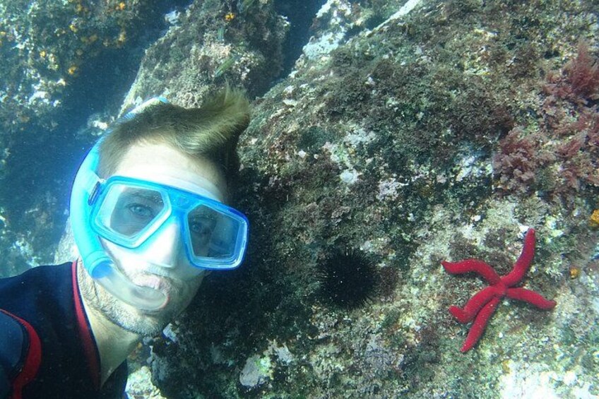 Kayak & Snorkel Tour in Cerro Gordo Natural Park, La Herradura 3