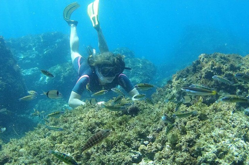 Kayak & Snorkel Tour in Cerro Gordo Natural Park, La Herradura 4