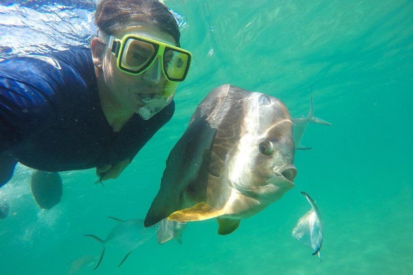 Fish friends. 2