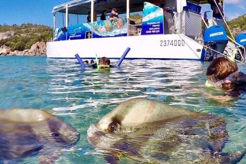 Immerse yourselves in the underwater world! 5