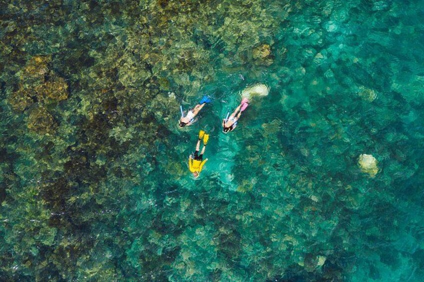 Master Reef Guides on tour will educate you and inspire you. 2