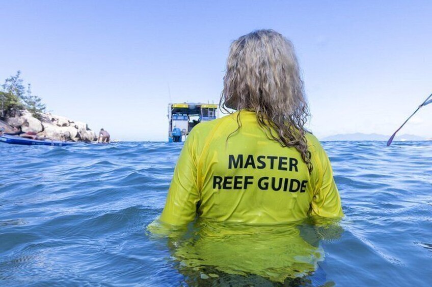 Magnetic Island Discovery Tour with Snorkeling & Paddle Boarding 2