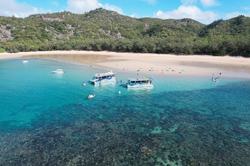 Magnetic Island Discovery Tour with Snorkeling & Paddle Boarding 1