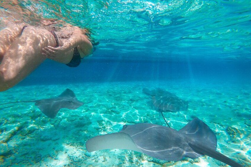 A person swimming underwater with stingrays. 1