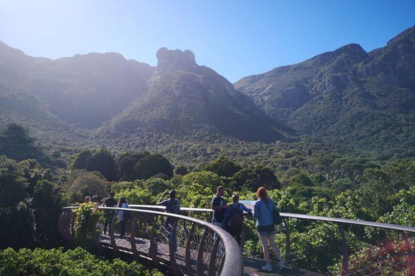 The "worm/snake" Kirstenbosch Botanical Gardens 3