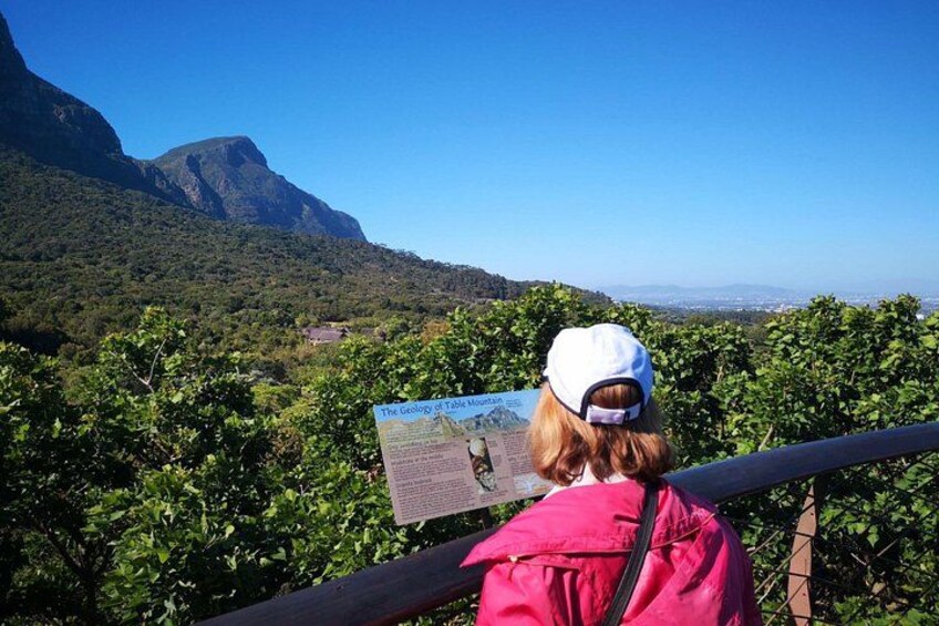 Kirstenbosch 4