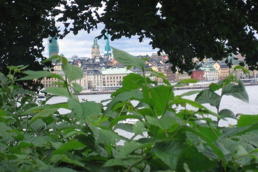 A cityscape with a prominent tower and buildings along a waterfront, viewed through foliage. 2
