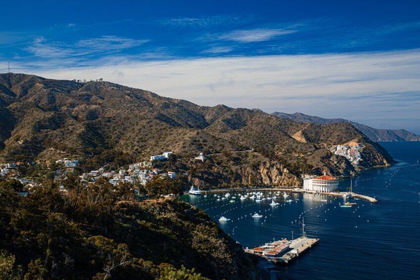 Discover Avalon: Catalina Scenic Tour 2
