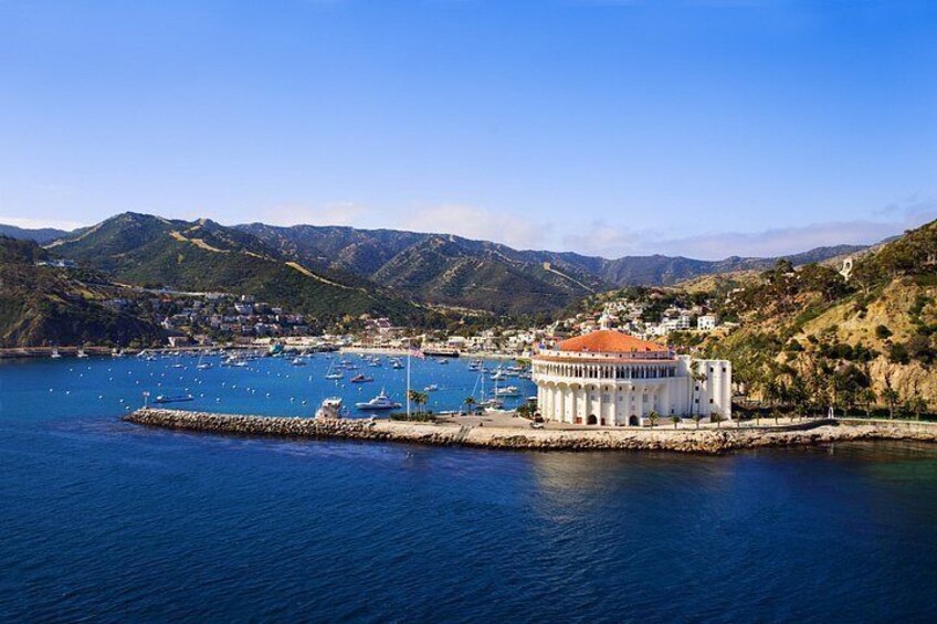 Discover Avalon: Catalina Scenic Tour 2