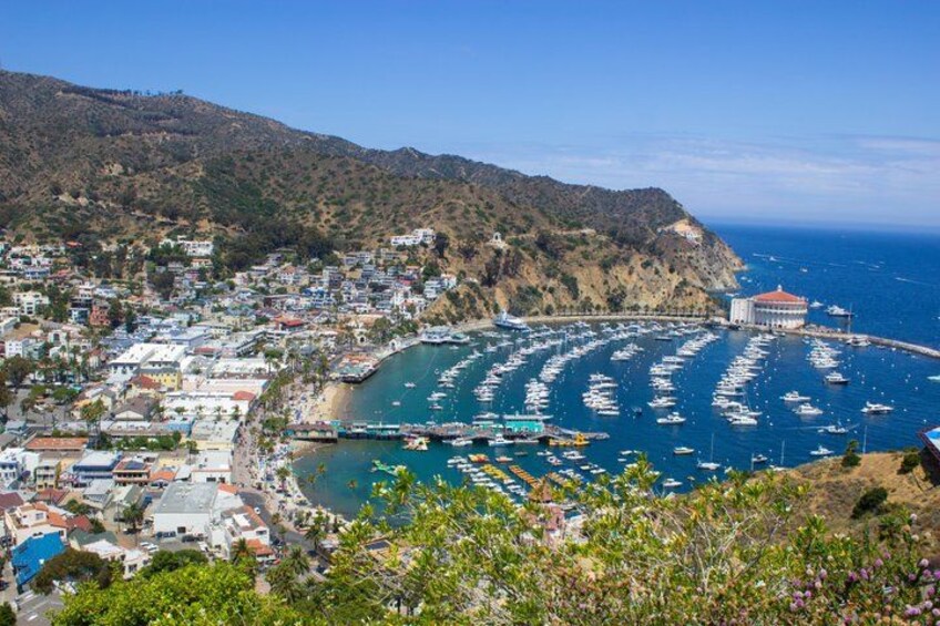 Discover Avalon: Catalina Scenic Tour 1