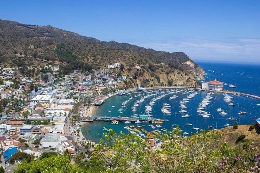 Discover Avalon: Catalina Scenic Tour 1