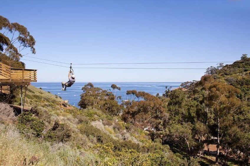 Eine Person zipline über eine Küstenlandschaft mit Bäumen und einer Holzhütte. 2