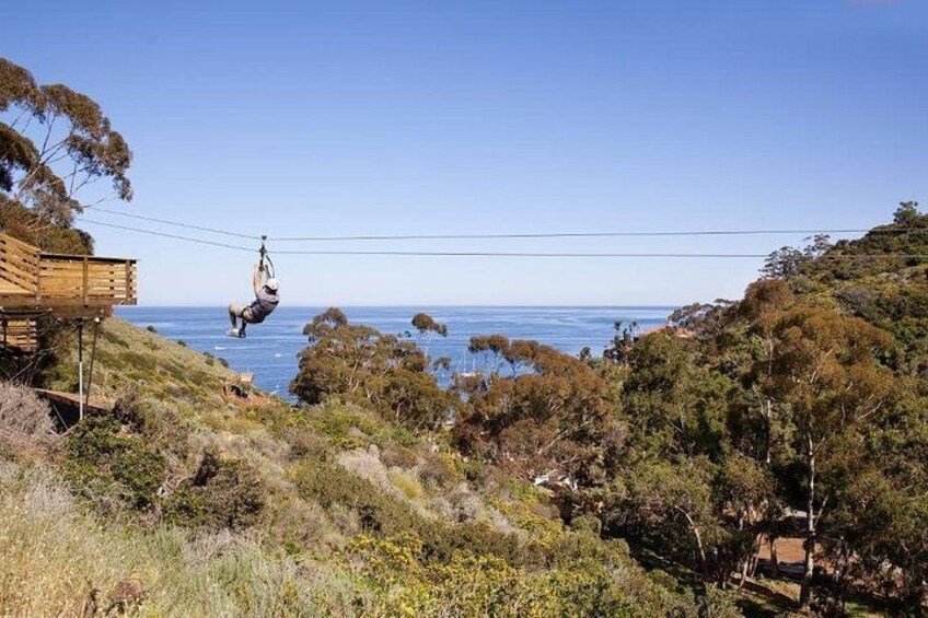 En person suser ned ad en zipline over et kystlandskab med træer og en trækonstruktion. 2