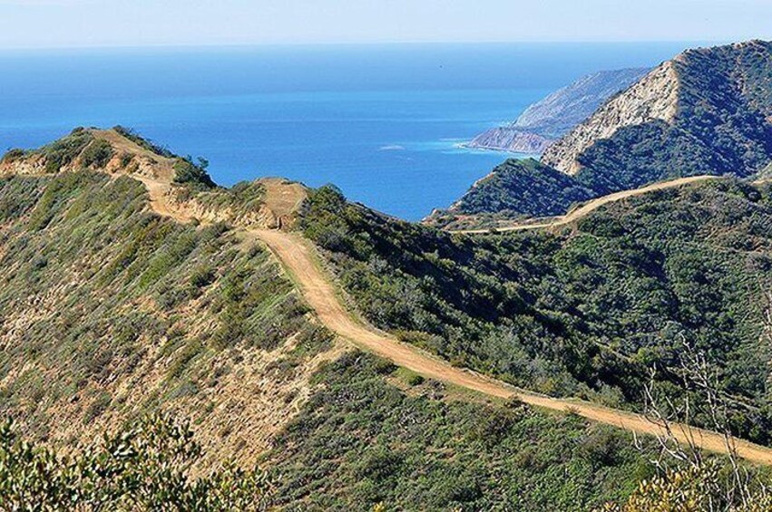A winding dirt road through a hilly landscape with dense vegetation and a view of the ocean in the distance. 5