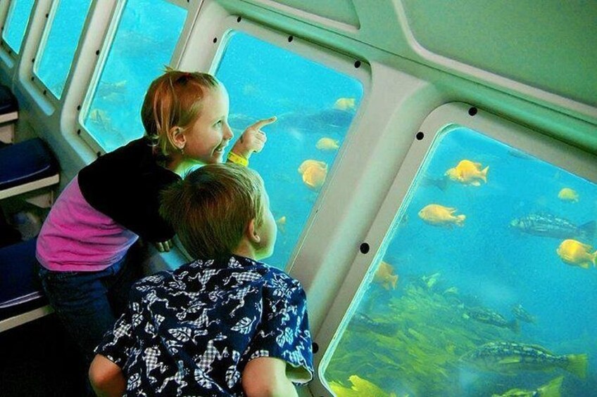 View from the cabin, below the waterline 1