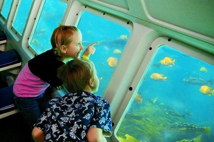 View from the cabin, below the waterline 1