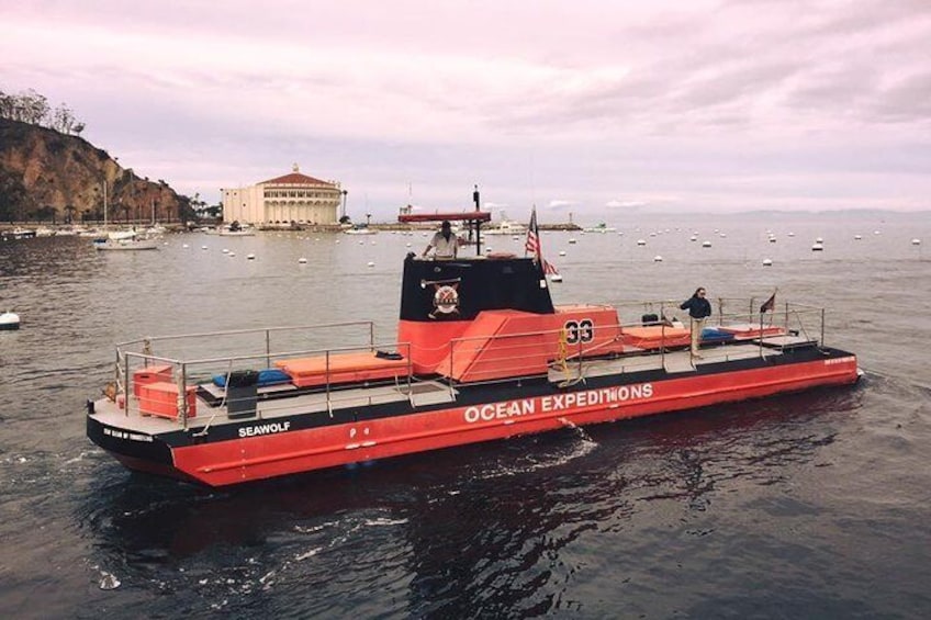 Catalina Island Undersea Expedition