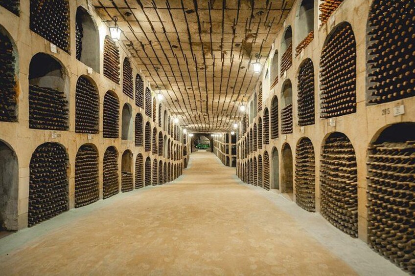 The biggest wine collection in the word 5