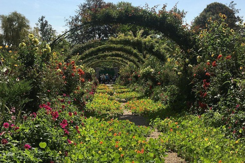 A garden with a variety of colorful flowers and a central archway. 4