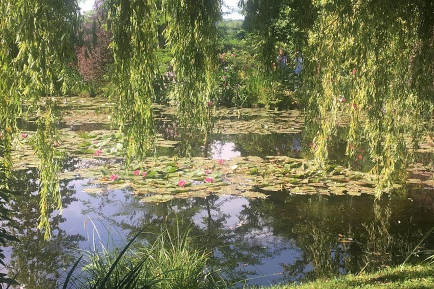 A pond with lily pads and weeping willow trees. 3