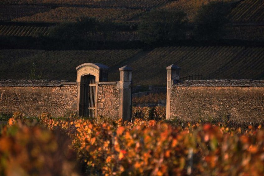 Small-Group Full-Day Tour of Côte de Nuits, Côte de Beaune Vineyards and Beaune Historical District 2
