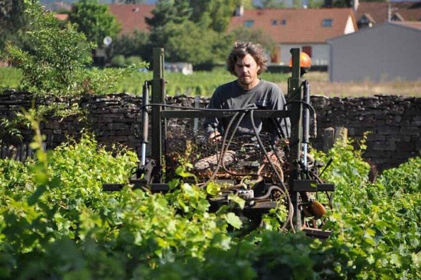 Small-Group Full-Day Tour of Côte de Nuits, Côte de Beaune Vineyards and Beaune Historical District 2