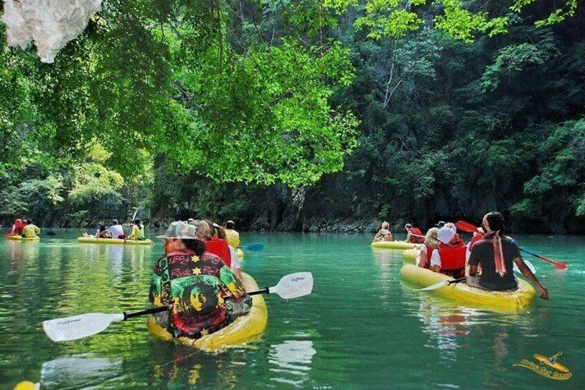 Langkawi Mangrove Kayak