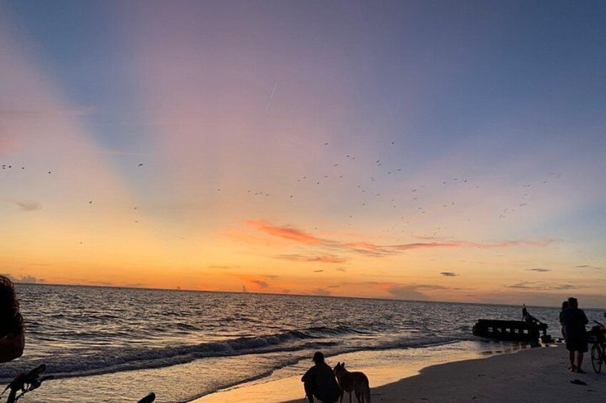 Siesta Key Electric Bike Sunset Tour 3