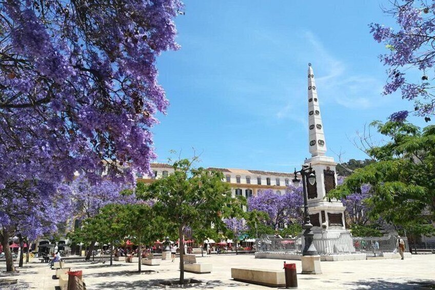 A public square with a tall monument, surrounded by trees with purple flowers, and a building in the background. 5