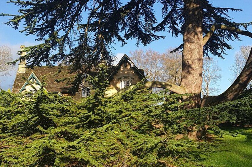 Una casa con un árbol grande en primer plano, rodeada de frondosa vegetación verde. 4